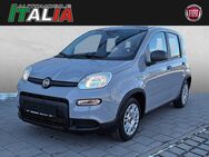 Fiat Panda, 1.0 GSE Hybrid 8 Fach, Jahr 2022 - Regensburg