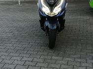 Honda Forza 350 - Lengerich (Nordrhein-Westfalen)