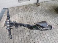 Staiger Oregon E-Bike, Pedelec mit Rohloff Schaltung - München