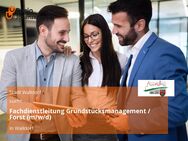 Fachdienstleitung Grundstücksmanagement / Forst (m/w/d) - Walldorf (Baden-Württemberg)