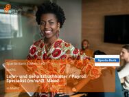 Lohn- und Gehaltsbuchhalter / Payroll Specialist (m/w/d), Mainz - Mainz