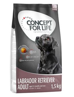 Concept for Life Labrador Retriever Adult - Sparpaket: 4 x 1,5 kg