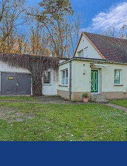 Ländliches Paradies - Einfamilienhaus am Waldrand - Bismark (Altmark)