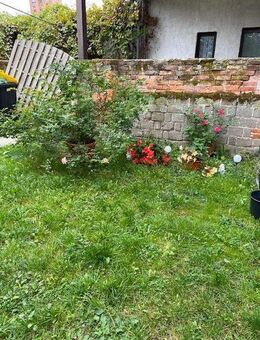kleine zentrumsnahe 2,5 Raum-Wohnung - Stendal (Hansestadt)