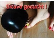 SKLAVE GESUCHT !!! - Singen (Hohentwiel)