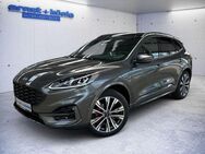 Ford Kuga ST-LINE X 2.5 Duratec PHEV *NAVI*PANO*AHK* - Freiburg (Breisgau)