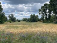 Idyllisches Wohnen - baufreies Grundstück in Südausrichtung - Löwenberger Land