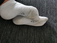 Super leckere Socken zu verkaufen 😈👌 - Berlin