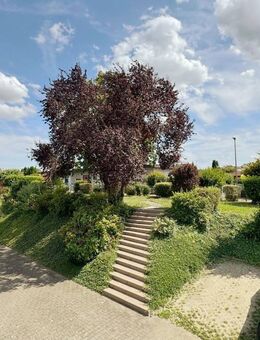 Attraktive Kapitalanlage - Moderne Erdgeschosswohnung mit Blick ins Grüne - Altrip