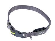 Nomad Tales Spirit USB LED Nylonhalsband, neongelb & grau - Größe S/M: Halsumfang 35-50 cm