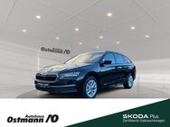 Skoda Octavia, Combi Selection 110kw TDI, Jahr 2024 - Niestetal