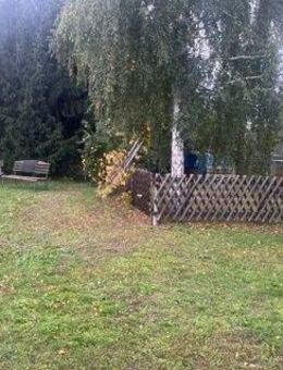 Eine nicht alltägliches Angebot - Mühlberg (Elbe)