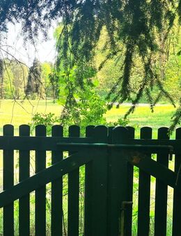PROVISIONSFREI|Naturparadies Rheinsberg: 35m² Bungalow, 2155m² Freizeitgrundstück, Nähe zu zwei Seen - Rheinsberg
