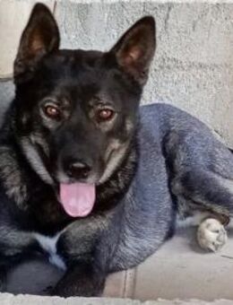 Ryuk möchte Ihnen Freude bereiten - Neuss