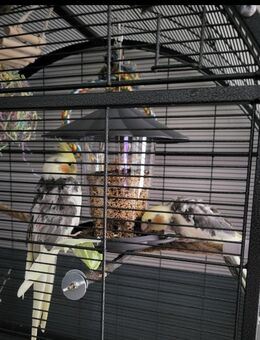 Rundum-sorglos-Paket - Hebertshausen