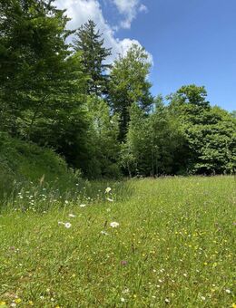 LASSEN SIE SICH MORGENS VOM VOGELGEZWITSCHER WECKEN - IM NEUEN HAUS AM WALD! TEL. 01714863595 - Neukirchen (Erzgebirge)