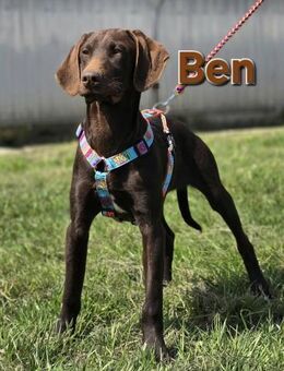 Ben ❤️ - Kissing