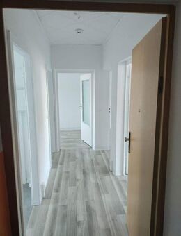 269 € | 69 qm | 4 ZKB Balkon | Günstige Fernwärme - Mücheln (Geiseltal)