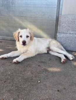 Quo möchte Sie durchs Leben begleiten - Neuss