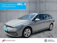 VW Golf Variant, 1.5 Golf VIII eTSI LIFE, Jahr 2023 - Bayreuth