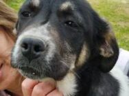 Kayla, das neugierige Fellbällchen - Mettmann
