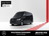 Mercedes Sprinter, 317 L2H2, Jahr 2023 - Heide