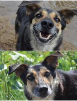 Marco & Elvis sind unzertrennlich - Mettmann