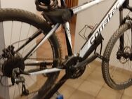 Mountainbike 26 Zoll - Leinburg