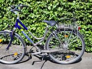 Giant Comfort Damenrad 28" - Hürth