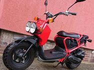 Honda Zoomer NPS 50 AF66 Versichert 946 km Mofa/Mokick Dax Monkey CY Gorilla - Wittingen