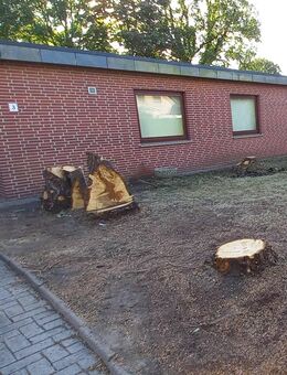 Flachdachbungalow zum 01.04.2025 - Lemwerder