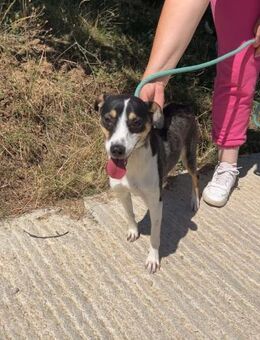 Sehr liebe unkomplizierte ESTHER sucht♥️ - München