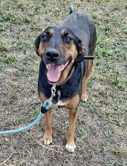 Gutmütige kinderliebe LILY sucht ♥️ - München