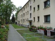 Sanierte 4-Raum Wohnung in ruhiger Lage am Waldrand - Königsbrück