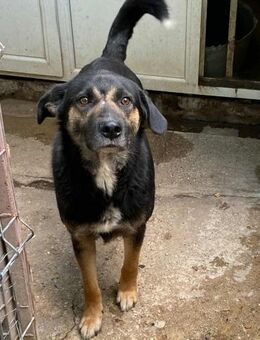 MAX liebt Menschen - Weiterstadt