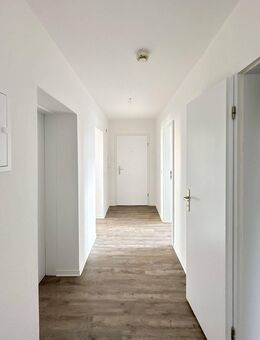 SOMMERANGEBOT - Uninähe / WG-geeignet - Magdeburg