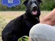 Mak ein wundervolles Wesen - Flörsheim-Dalsheim