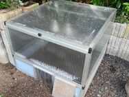 ALLTOP Frühbeet-Set - 103x103 cm - Bottrop