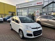 Fiat Panda Pop*Klima*Android Radio*Scheckheft gepflegt - Flensburg