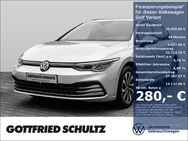 VW Golf Variant, 1.0 l TSI Life, Jahr 2023 - Grevenbroich
