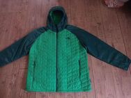 THE NORTH FACE Herren Trevail Jacke Gr XXL wie Neu - Dortmund