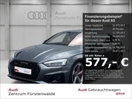 Audi A5, Sportback 50 TDI quattro S line MATRXI A, Jahr 2020 - Fürstenwalde (Spree) Zentrum