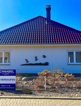 ''Sie werden ein größeres Haus brauchen'' Kühlungsborn-West / Holmblick - Kühlungsborn