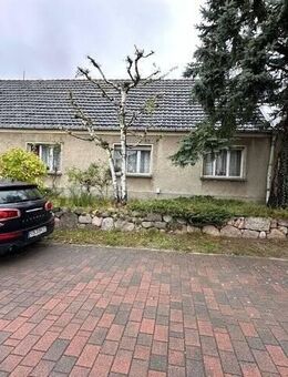 Einfamilienhaus mit Nebengelass, kleiner Scheune und 2 Zufahrten in toller ruhiger Lage -ebenerdiges Wohnen- in Altmersleben - Kalbe (Milde)