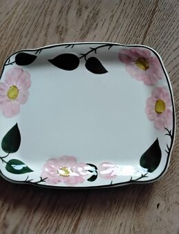 Beilagen Platte von Villeroy und Boch - Braunschweig