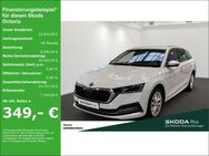 Skoda Octavia, Combi TDI FIRST EDITION, Jahr 2021 - Neuss