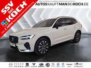 Volvo XC60, B4 Plus Dark ° H K, Jahr 2023 - Berlin