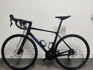 Giant TCR ADVANCED 2 - Carbon Rennrad Schwarz- 2024 - Bischoffen