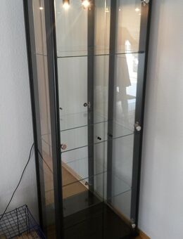 Vitrine, 2-türig mit Spiegelrückwand und Beleuchtung, schwarz - Garbsen