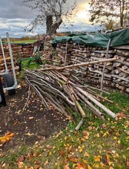 Brennholz aller Art Hartholz und Weichholz Holz - Eichstätt